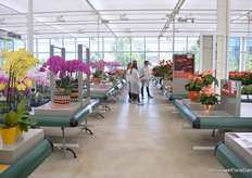 Alle highlights van Anthura kregen een podium.